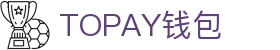 TOPAY钱包 - 安全便捷的个人财务管理工具